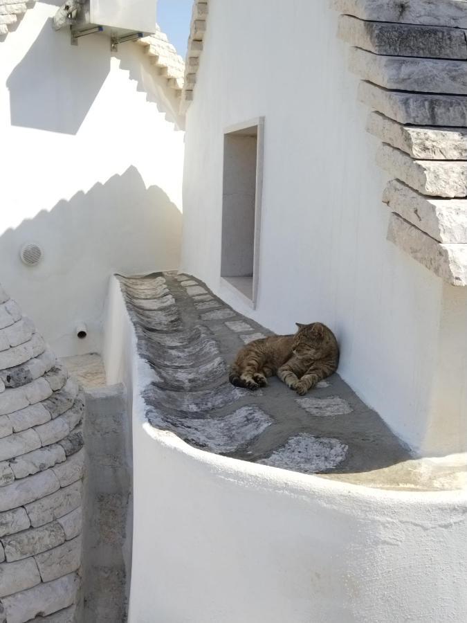 Masseria Catucci Agriturismo Alberobello Exterior foto