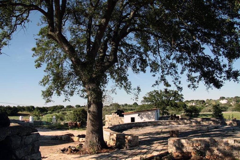 Masseria Catucci Agriturismo Alberobello Exterior foto